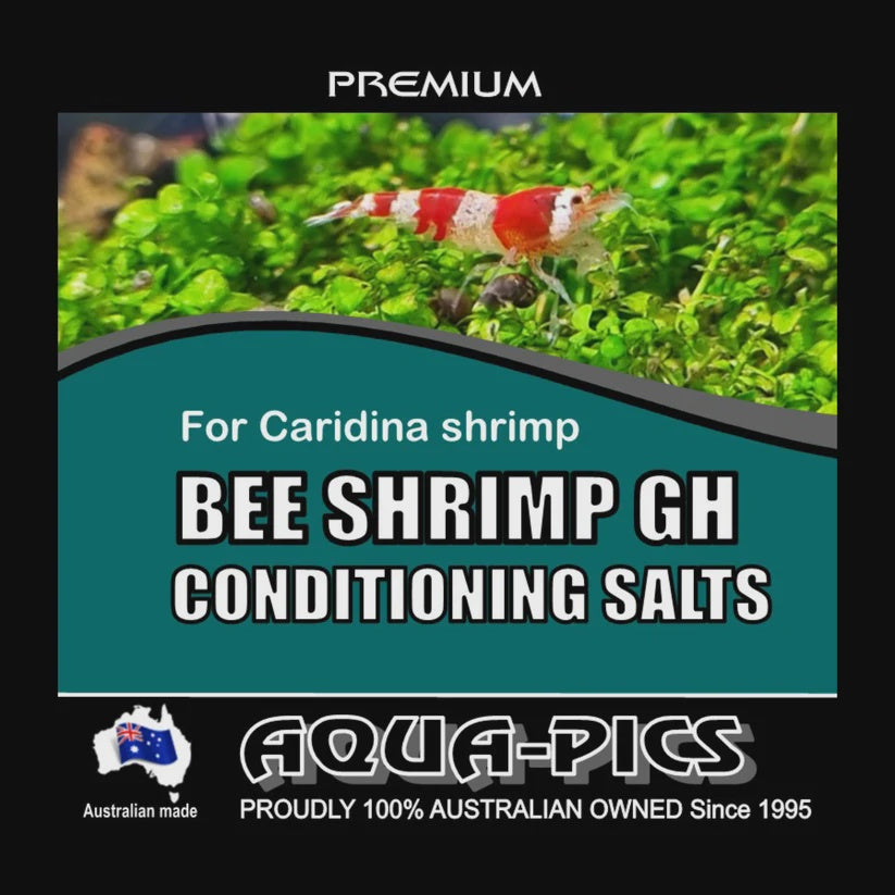 Aqua Pics Bee Shrimp GH Conditioning Salts 250g