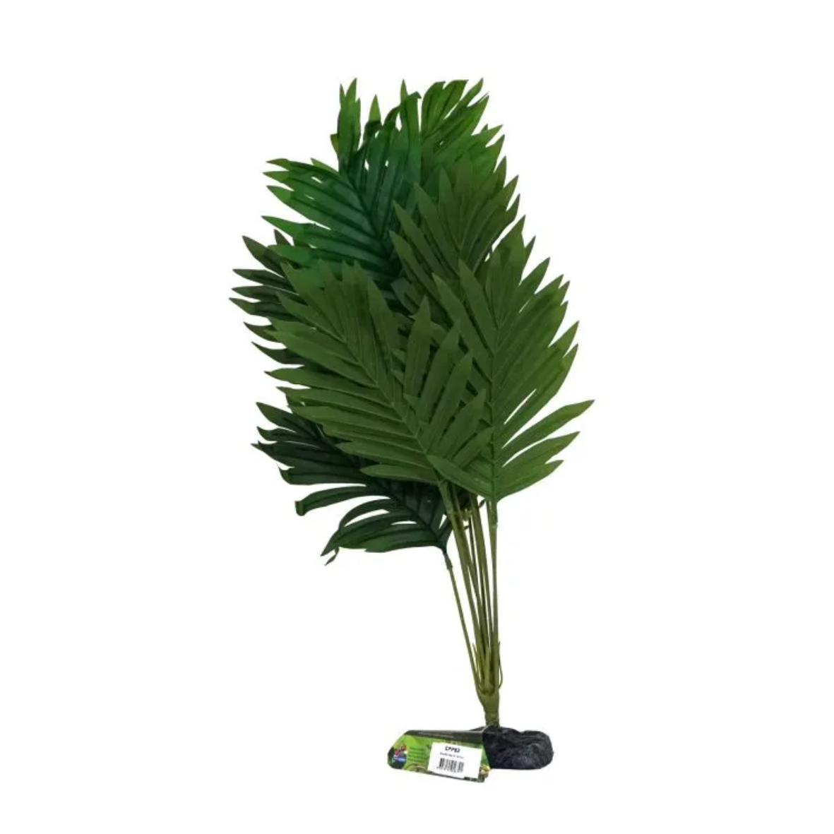 Amazon Jungle Butterfly Palm XL 45-50cm (CPP83)