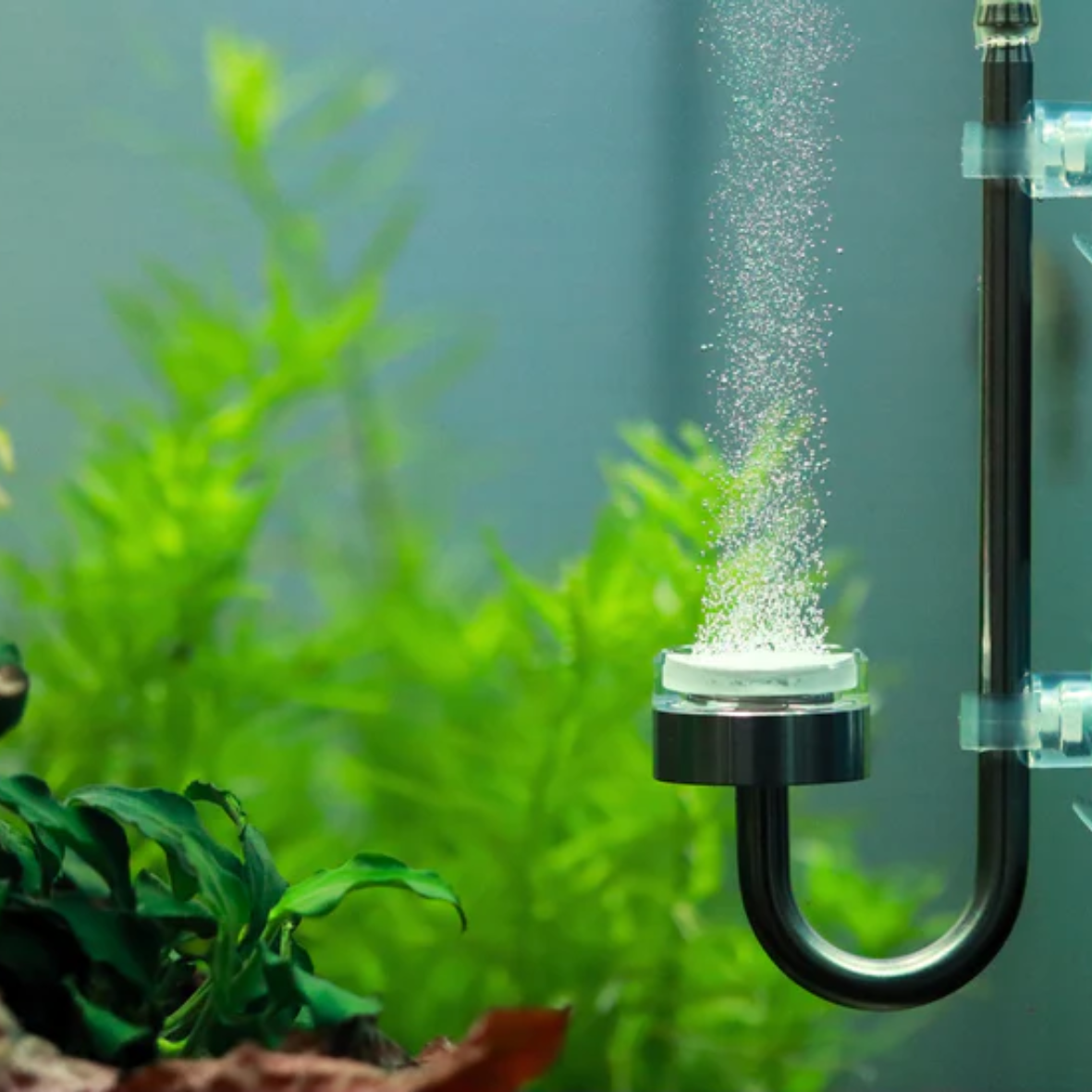 AquaLabs Micro Mist C02 Diffuser