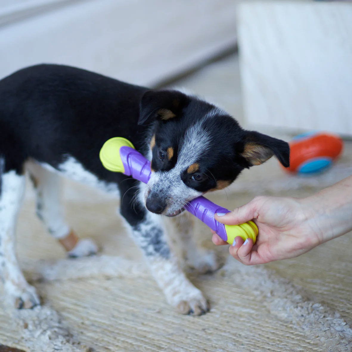 Kazoo Extreme Play Dog Chew Stick - Medium