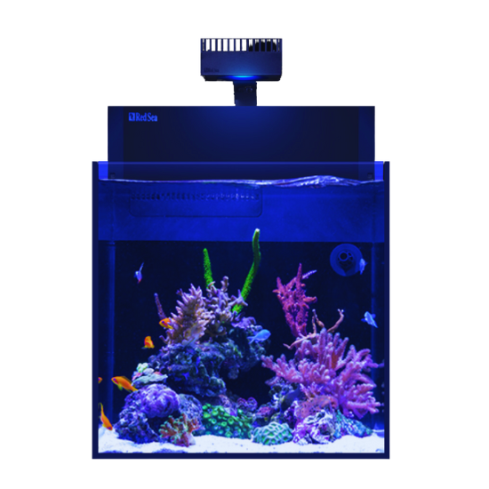 Aquariums, Enclosures & Cabinets