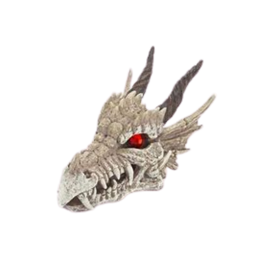 Penn Plax Dragon Skull Gazer 20cm L