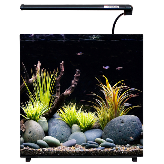 Aqua One AquaNano Aquarium 30