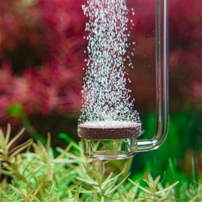 Aquario Neo C02 Diffuser Special