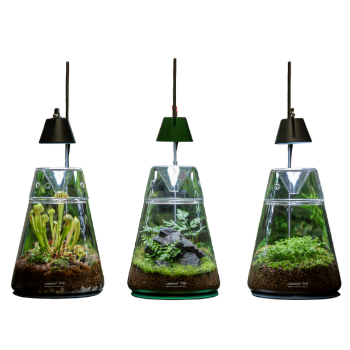 Ledstar DOT-II Terrarium Set w/Light