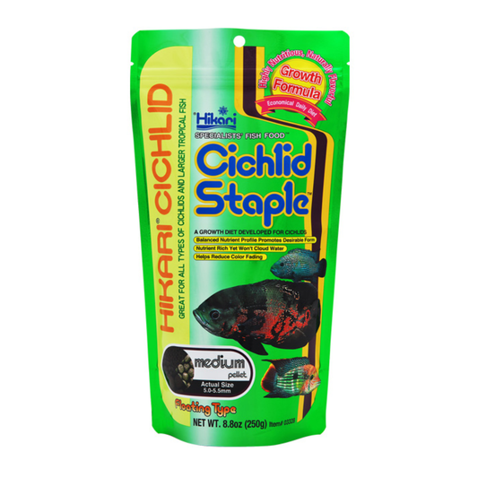 Hikari Floating Cichlid Staple Medium Pellet 250g (KH03328)