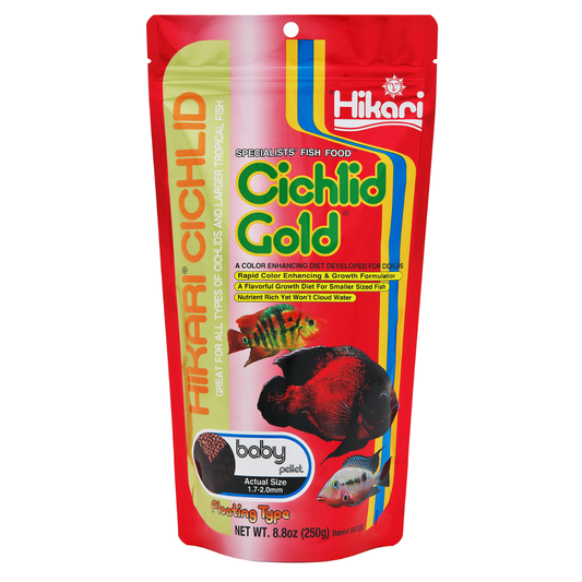 Hikari Floating Cichlid Gold Baby Pellet 250g (KH04128)