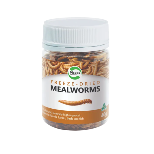 Pisces Freeze Dried Mealworms 40gm jar
