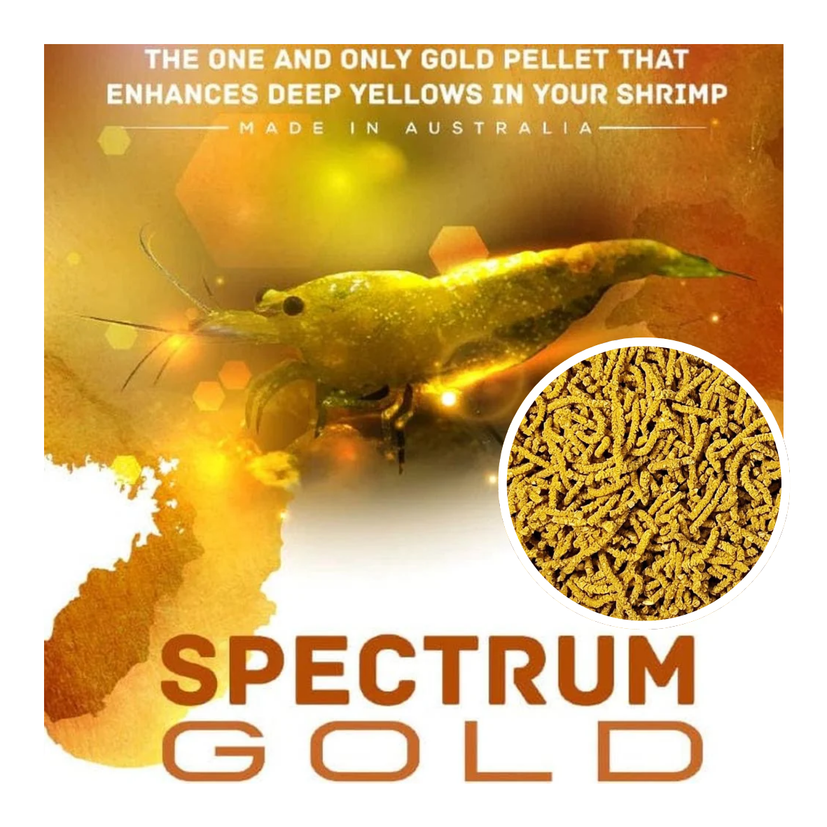 SAS Spectrum Gold 30g