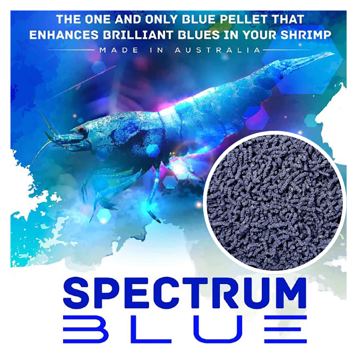SAS Spectrum Blue 30g