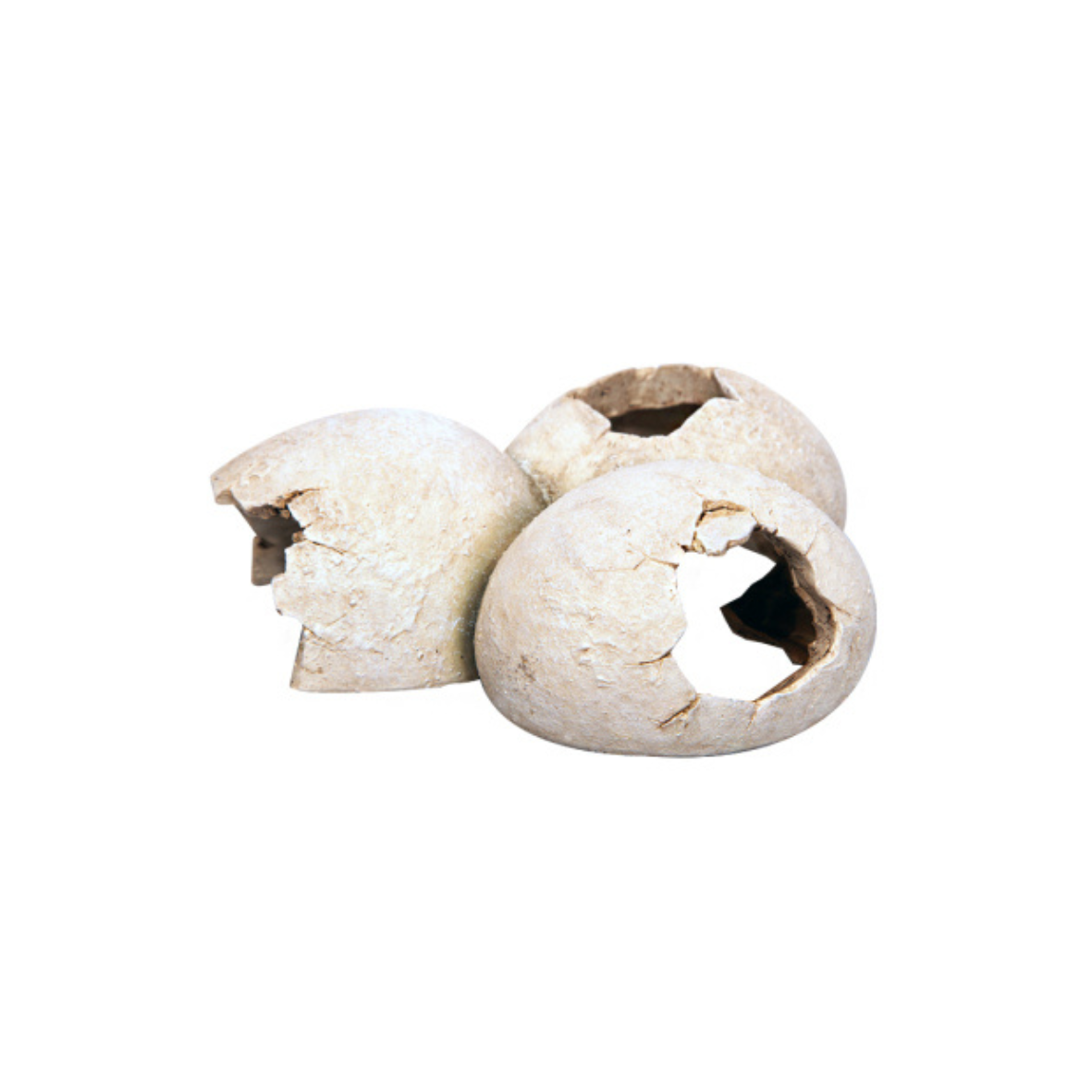 Aqua One Ornament Dinosaur Eggs 15.5x12.5x6cm 37385