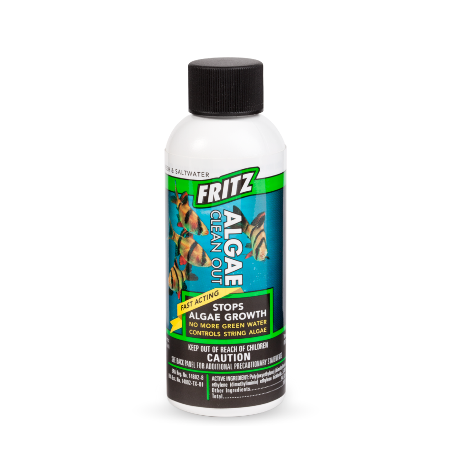 Fritz Algae Clean Out