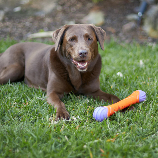 Kazoo Extreme Play Dog Chew Stick - Large