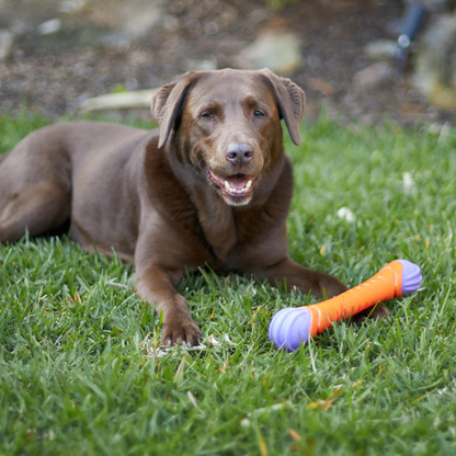 Kazoo Extreme Play Dog Chew Stick - Large