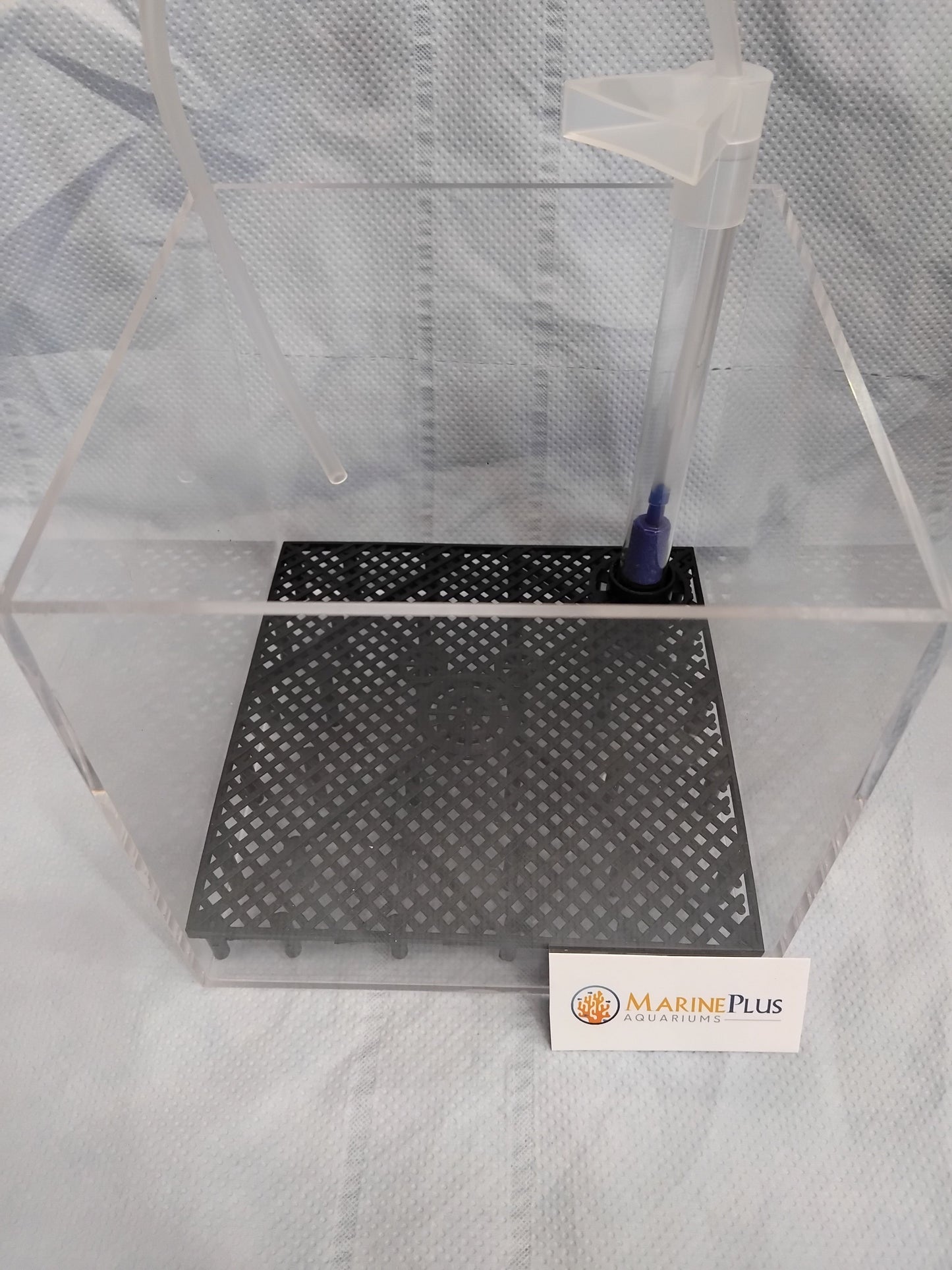 Shrimp Under Gravel Filter Box