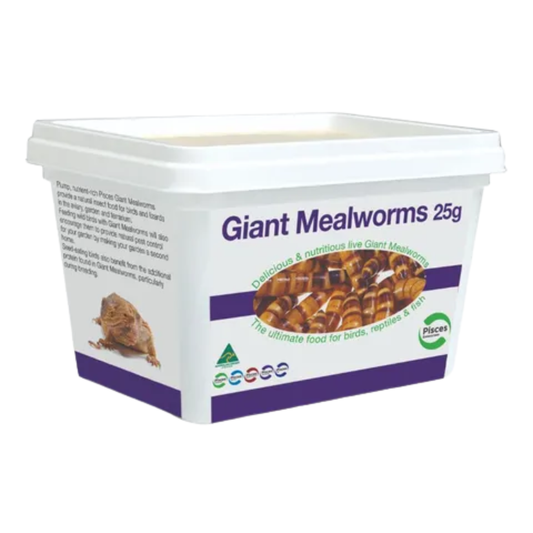 Pisces Giant Mealworm 25g tub