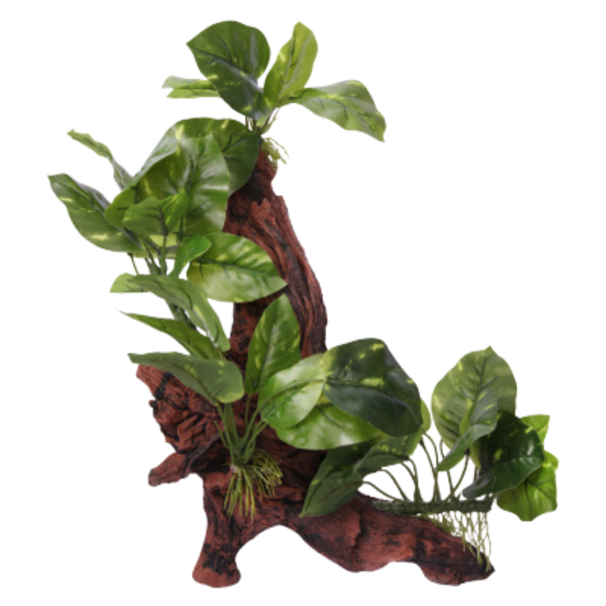 Aqua One Driftwood with Variegated Pothos 41.5cm H (37003)