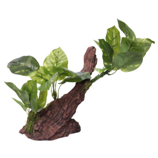 Aqua One Driftwood with Variegated Pothos 26cm H (37004)