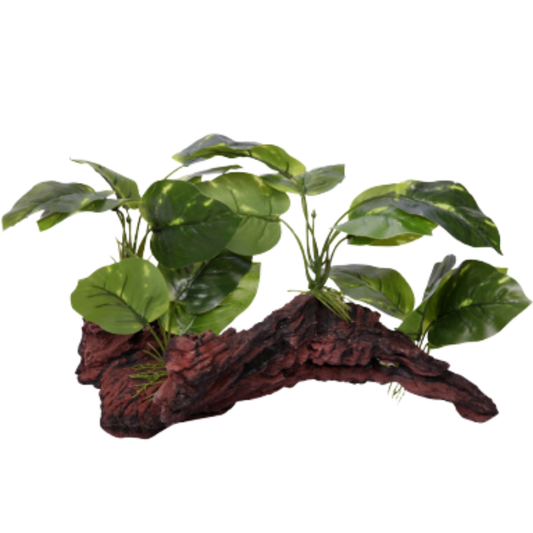 Aqua One Driftwood with Variegated Pothos 25cm H (37005)