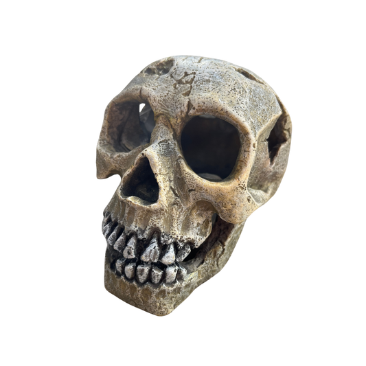 Kazoo Deep Sea Skull Medium