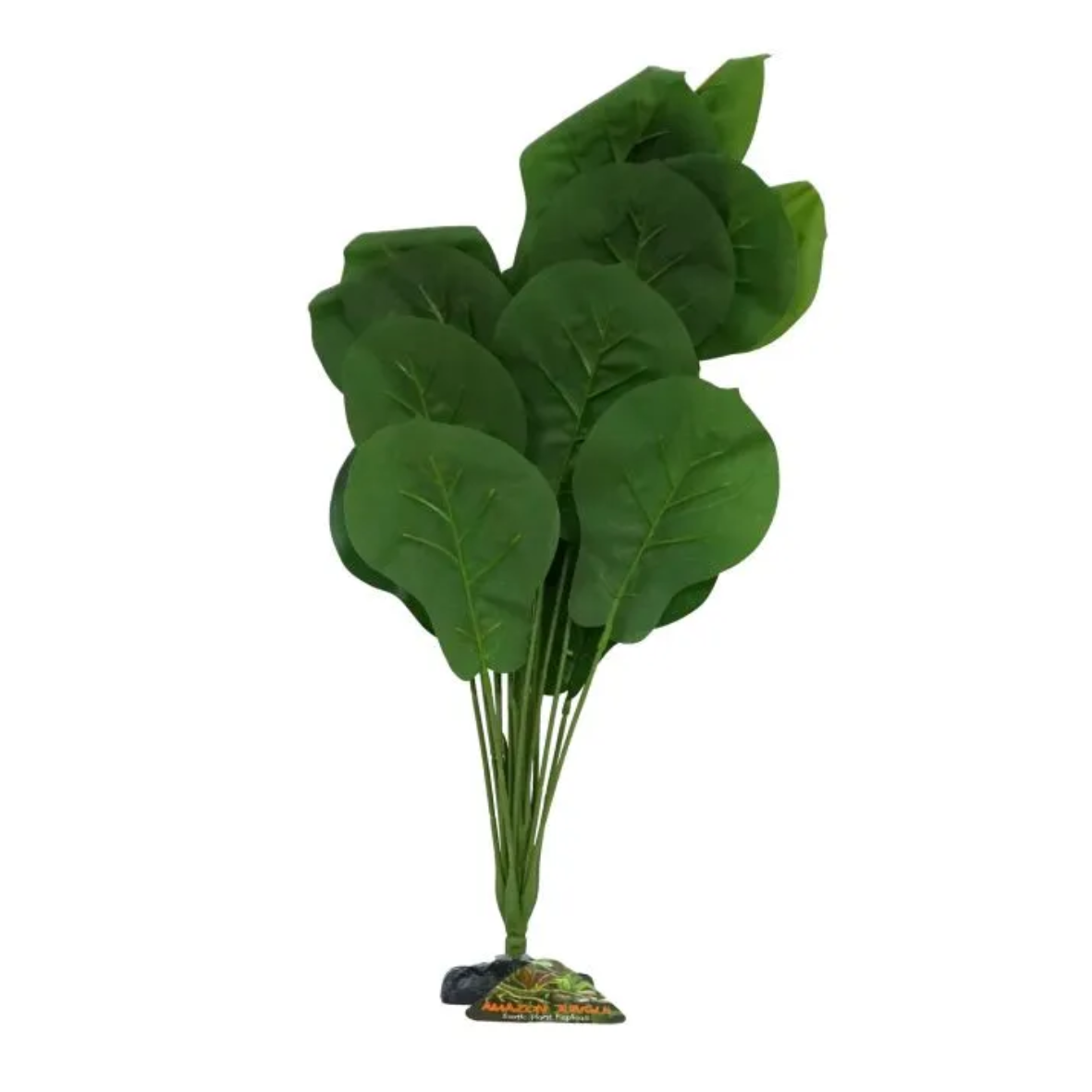Amazon Jungle Ficus Lyrata XL 45-50cm CPP86