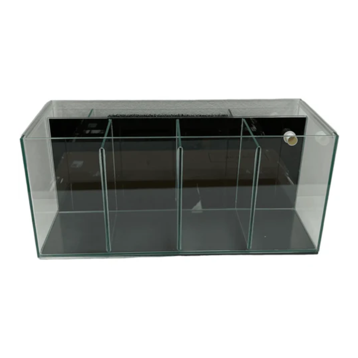 Fighter Fish Box Petworx Fighter Tank 4 Bay W/Filter 51x20x23cm 23L – Marine Plus Aquariums