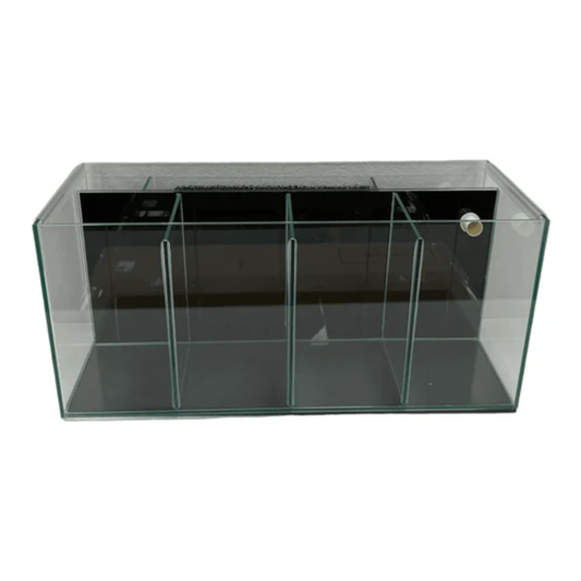 Petworx Fighter Tank 4 Bay W/Filter 51x20x23cm 23L