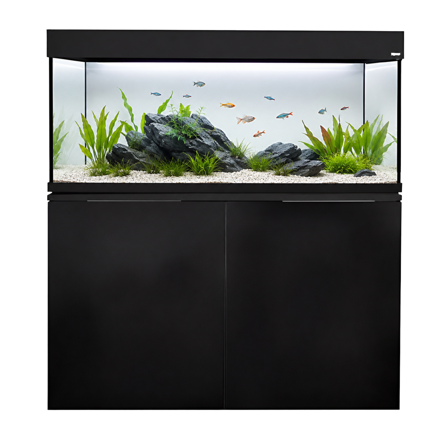 Aqua One Aqua Vogue 230 Special Edition (Canister Edition)