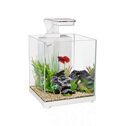 Aqua One Betta Sanctuary