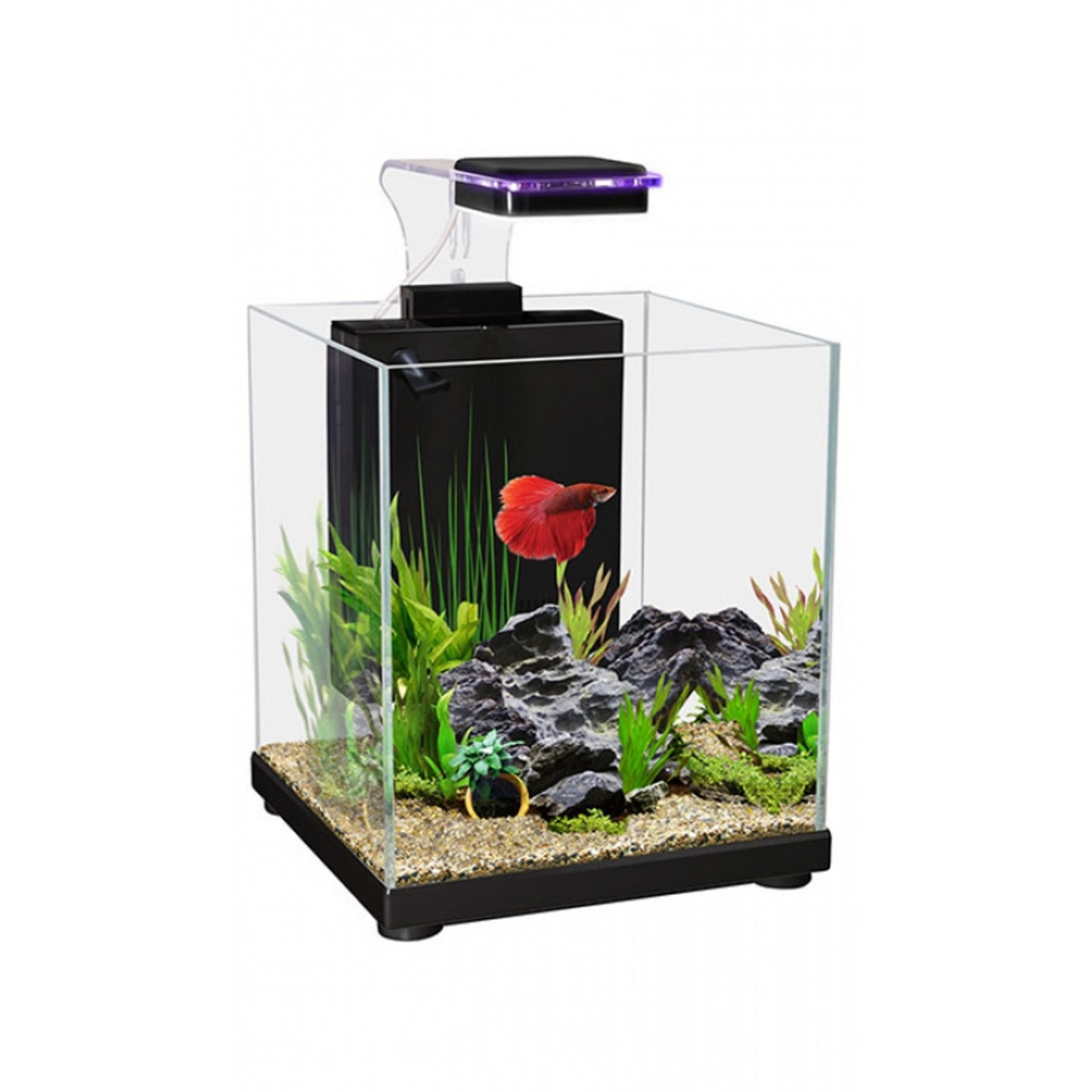 Aqua One Betta Sanctuary