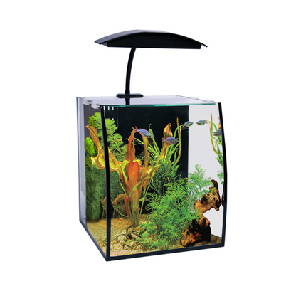 Aqua One Arc Aquariums