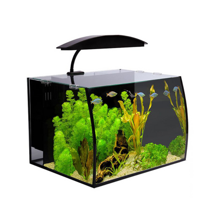 Aqua One Arc Aquariums