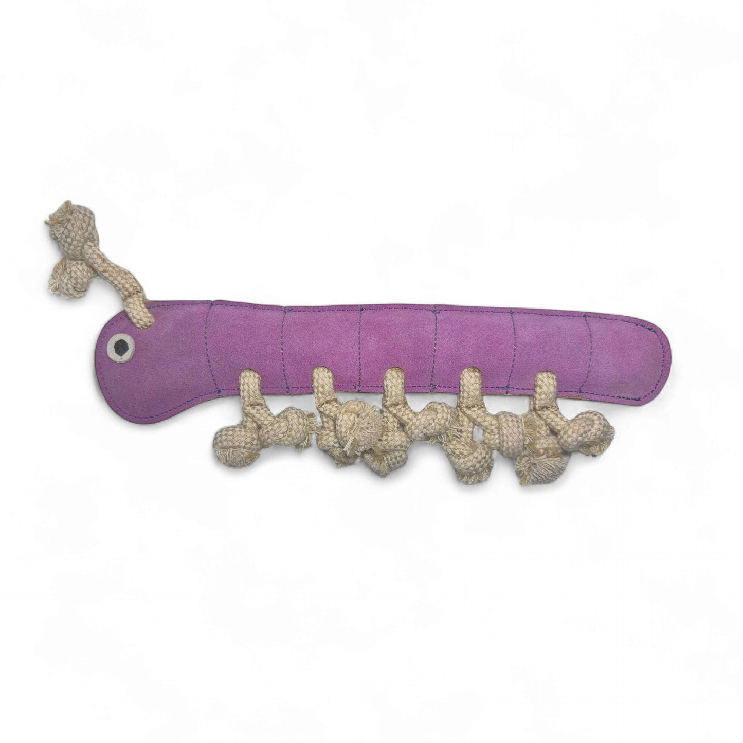 Georgie Paws - Gerti the Grub